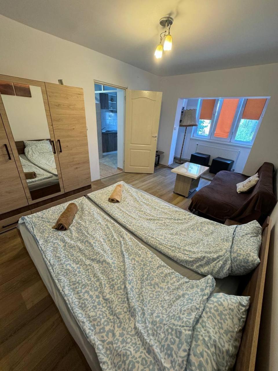 Affordable Apartment Close To The Castle Vajdahunyad Kültér fotó