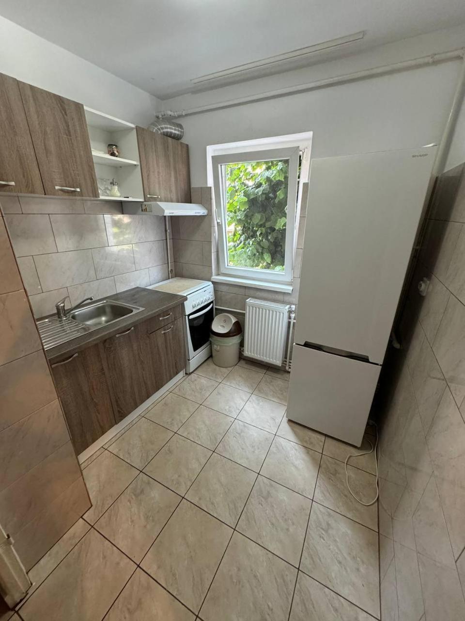 Affordable Apartment Close To The Castle Vajdahunyad Kültér fotó