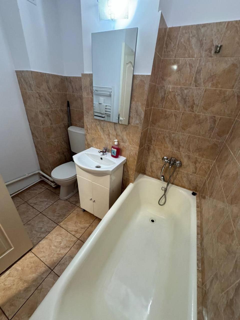Affordable Apartment Close To The Castle Vajdahunyad Kültér fotó