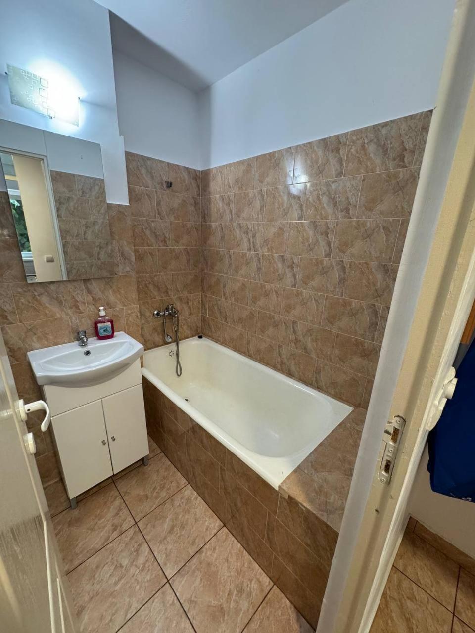 Affordable Apartment Close To The Castle Vajdahunyad Kültér fotó